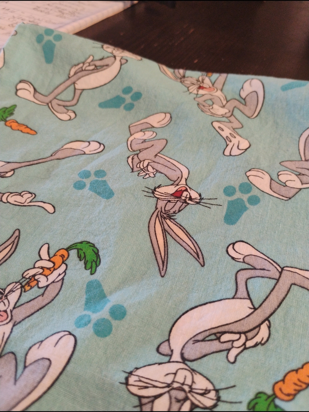 5 Bugs Bunny Light Blue Cartoon Print Pillow Cases